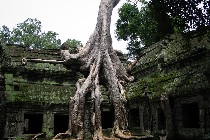1-Day Angkor Wat Sunrise & All Interesting Temples Private Tour - Sunrise at Angkor Wat: why the 4:45am start matters