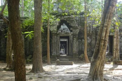 1-Day Angkor Wat Sunrise & All Interesting Temples Private Tour - Price and the $37 Angkor pass: the one extra cost you must plan for