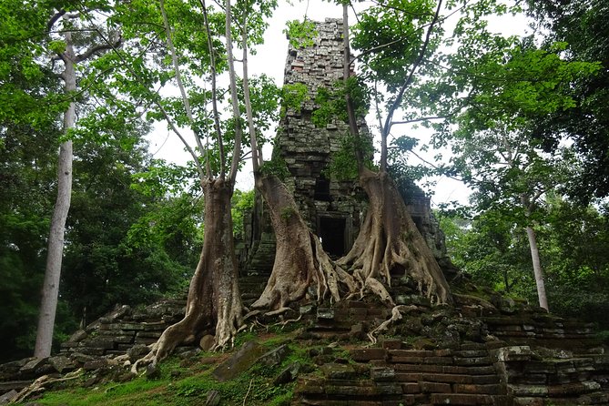 1-Day Angkor Wat Sunrise & All Interesting Temples Private Tour - How the guide helps you avoid crowds and get better photos