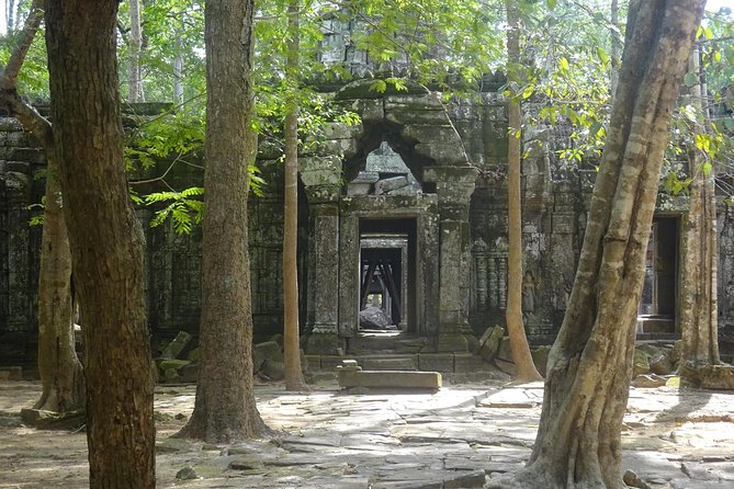 1-Day Angkor Wat Sunrise & All Interesting Temples Private Tour - Price and the $37 Angkor pass: the one extra cost you must plan for