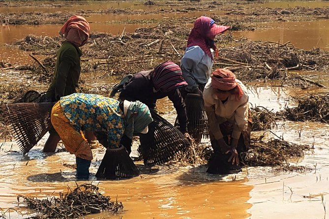 1day Private tour, Angkor sunrise,all main temples, Banteay srei - The 4:45am start at Angkor Wat (and why it works)