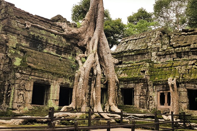 2-Days Private Tour in Angkor Sunrise, Banteay Srei and Beng Mealea Temple - Day 2: Banteay Srei, Preah Khan, Neak Pean, then Beng Mealea