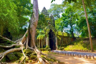 3 Days Siem Reap Explorer - Small Group - Angkor Thom and Ta Prohm: the storytelling temples