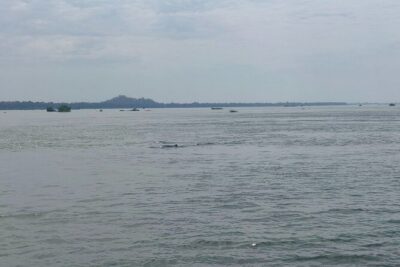 4 hours taking tuk tuk to see Mekong dolphins and countryside - Price and value: what the $20 really buys