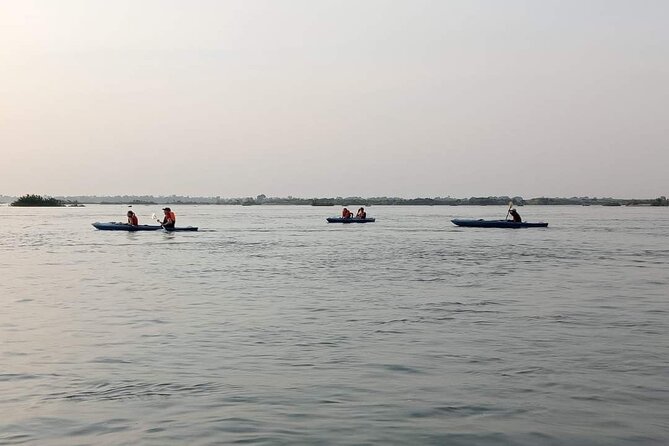 4 hours taking tuk tuk to see Mekong dolphins and countryside - Guide experience: when Mr. Hak levels it up, and when you should ask more