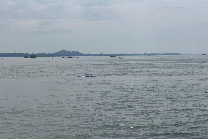 4 hours taking tuk tuk to see Mekong dolphins and countryside - Price and value: what the $20 really buys