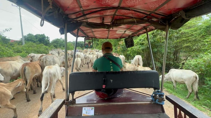 A day tour through Battambang/Local area and landmarks - Starting at 1pm: Pick-Up, Tuk-Tuk Rhythm, and City Stops