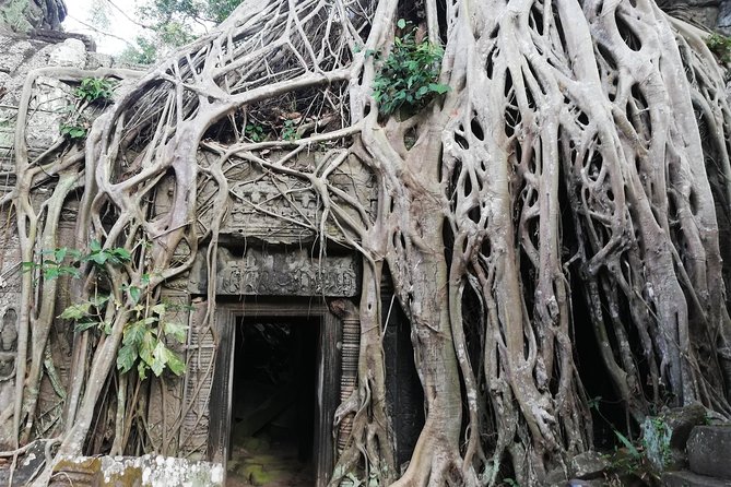 Afternoon Angkor Wat Private Tour with Sunset - Angkor Thom South Gate, Elephant Terrace, and Bayon Faces