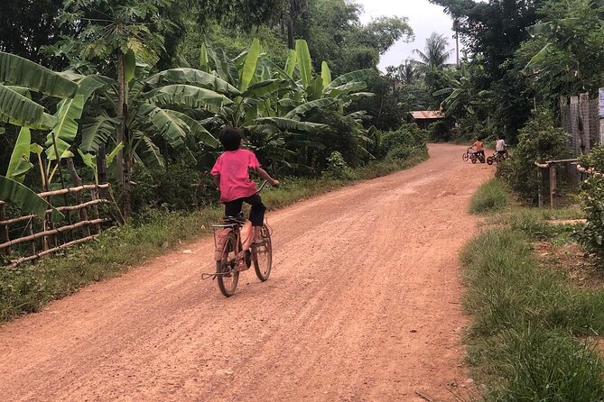 Afternoon tour by tuk tuk to bamboo train,bat cave,killing cave,countryside. - Battambang bat caves: the millions effect (bring patience)