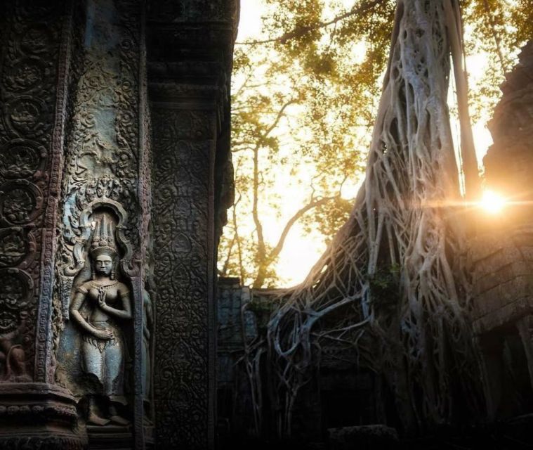Angkor Sunrise or Sunset Tour (includes breakfast or lunch) - Ta Prohm: The Jungle Temple and the Tomb Raider Factor