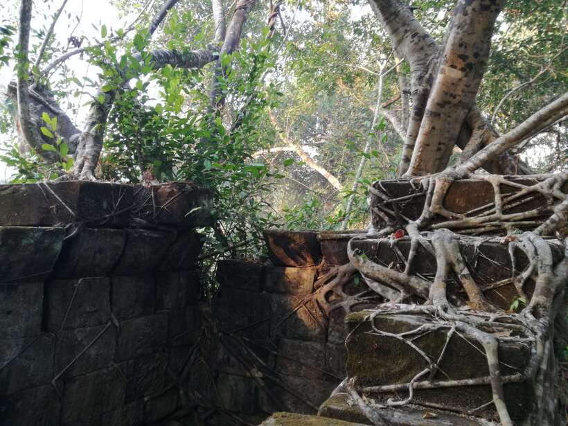 Angkor Temples Highlights Tour: 2 Days with Sunrise - Beng Mealea: a final one-hour stop for the road-weary temple lover