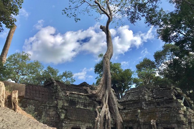 Angkor Wat & Floating Village 3-Day Private Tour - A Cultural Dinner After the Temple Hours