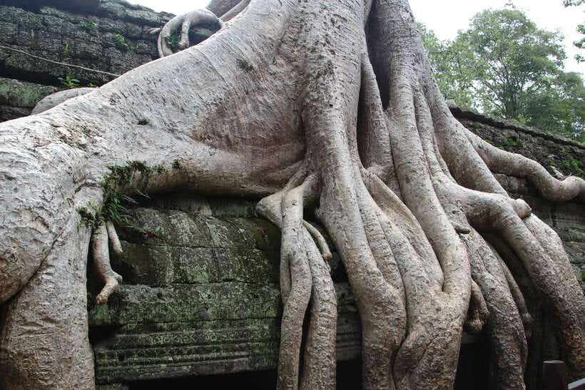 Angkor Wat Full-Day Private Tour with Sunset - Pre Rup Sunset: A Hindu Temple With Evening Views
