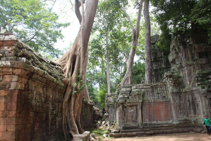 Angkor Wat Full-Day Private Tour with Sunset - Who Should Book This Private Angkor Wat + Sunset Tour?