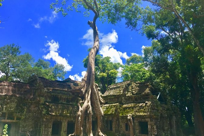 Angkor Wat one Day Private Tour for All Highlight Angkor Temples - Stop-by-stop: how each temple fits your day