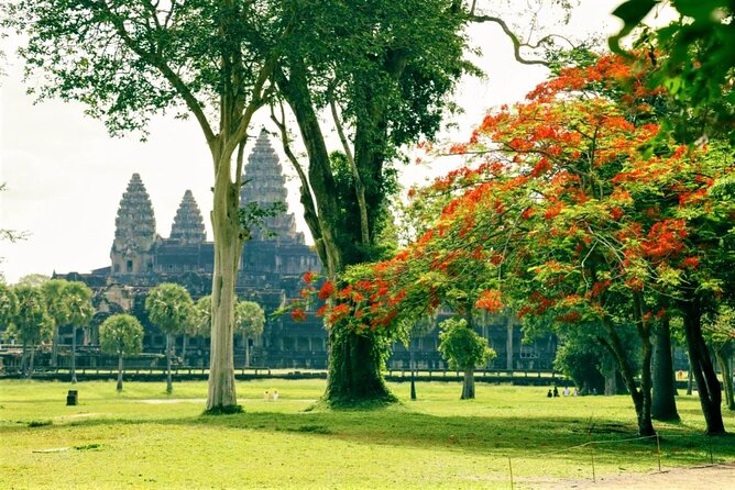 Angkor Wat one Day Private Tour for All Highlight Angkor Temples - Should you book this Angkor Wat one-day private highlights tour?