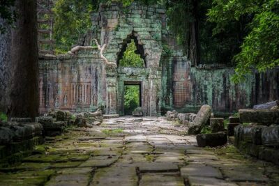Angkor Wat Private Day Tour - Ta Prohm: The Jungle Temple and Why the Roots Feel So Real