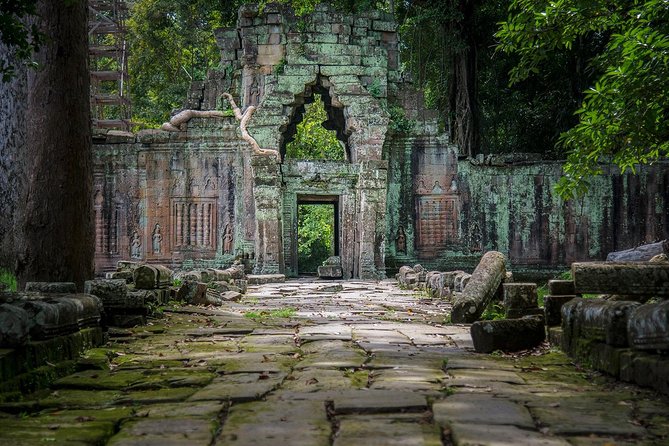 Angkor Wat Private Day Tour - Ta Prohm: The Jungle Temple and Why the Roots Feel So Real