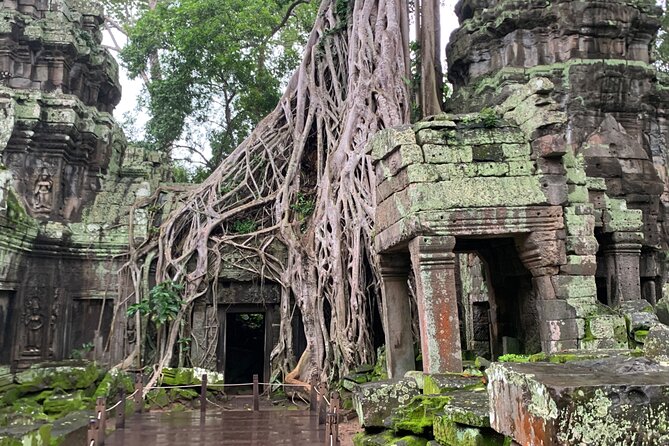 Angkor Wat Sunrise and Angkor Thom Sunset Tour - Price and value: what $59 covers, and what you must budget for