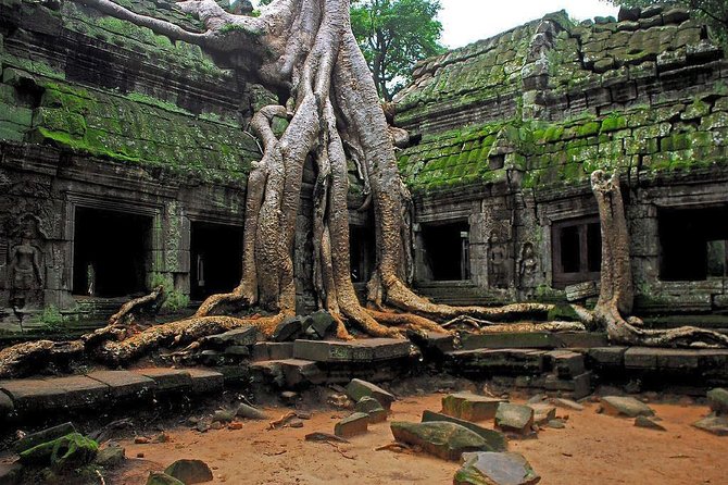 Angkor Wat Sunrise and Tonle Sap Lake 1.5 Days - Kampong Phluk and Tonle Sap: the boat cruise experience