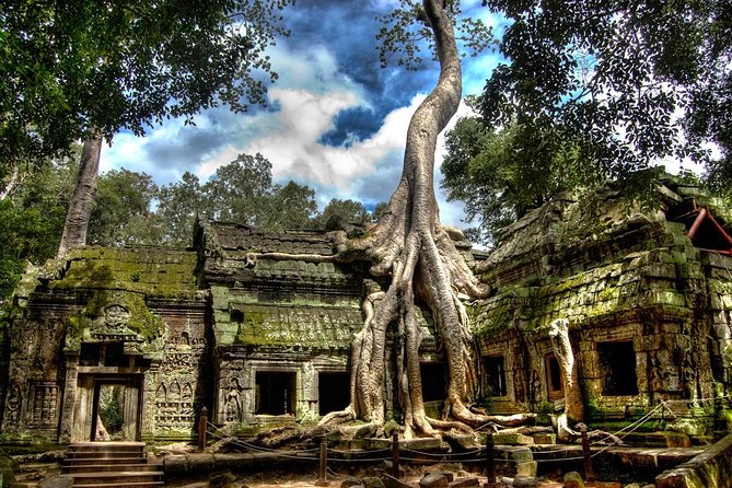 Angkor Wat: Sunrise or Sunset Tours with Tuk Tuk - Driver experience: English help, temple info, and the tuk tuk reality