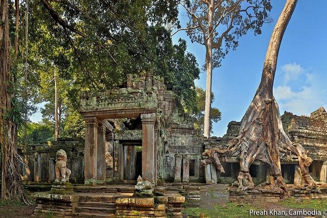 Angkor Wat Sunrise Private Experience with Guide from Siem Reap - Ta Prohm: Fig Trees, Roots, and the Kind of Chaos That Looks Right