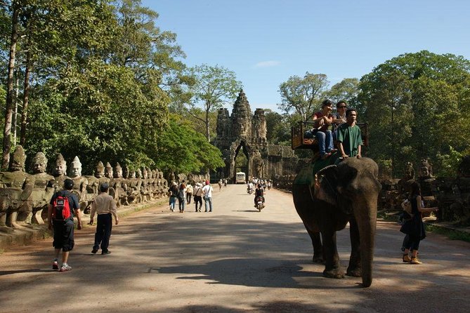 Angkor Wat Sunrise Tour - Ta Prohm: the root-wrapped temple with a movie-famous vibe