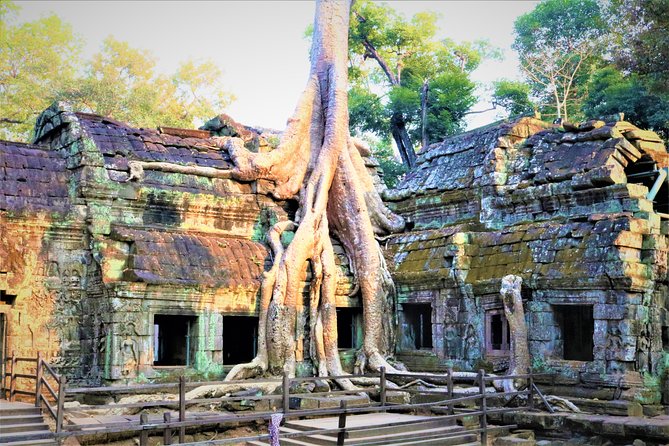 Angkor World Heritage with Sunrise - Small Group - Price and Temple Pass: Where the Real Value Comes In