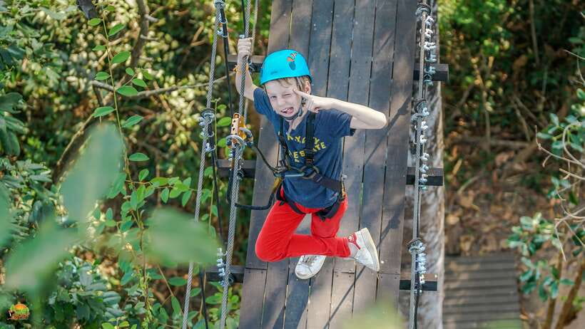 Angkor Zipline Eco-Adventure Canopy Tour - From Operation Orchid House to the safety demo: how you’ll be briefed