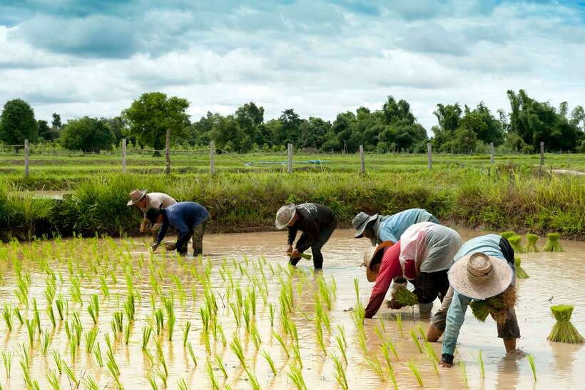 Back to Basics: Siem Reap Village Tour in Cambodia - The short version of the Siem Reap village experience