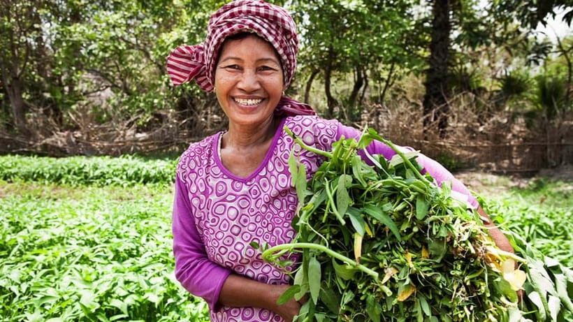 Back to Basics: Siem Reap Village Tour in Cambodia - Key highlights I’d prioritize before you book