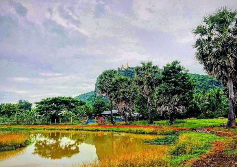 Battambang: Bamboo Train, Bat Cave, Killing Cave by Tuk Tuk - Bat Cave at dusk: watching wrinkle-leap bats fly out