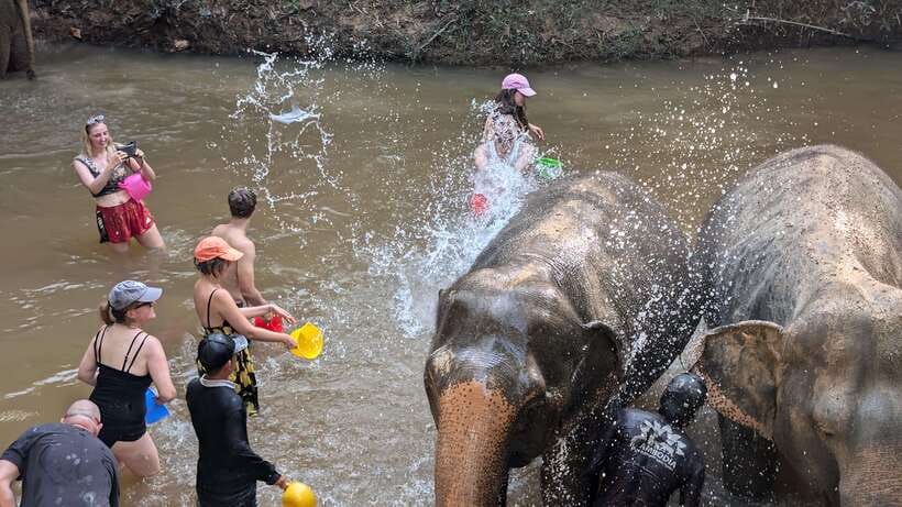 Cambodia Elephant Sanctuary Include Hotel Transfer Roundtrip - Who this elephant sanctuary experience fits best