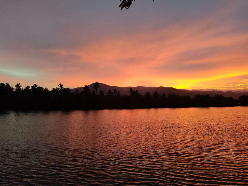 Countryside tours include pepper plantations - Tuktuk Through Kampot Countryside: what this tour really is