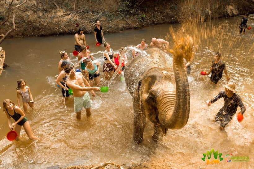 Elephant Sanctuary Cambodia, Pickup and drop off included - Key highlights you should circle on your map