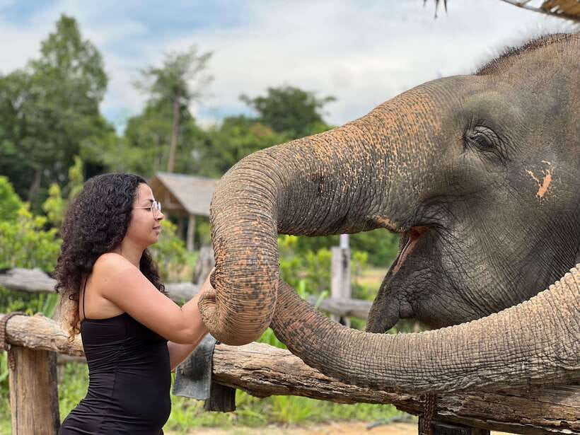 Elephant Sanctuary Cambodia, Pickup and drop off included - Hotel Pickup, Countryside Drive, and the First Signs of a Calm Place
