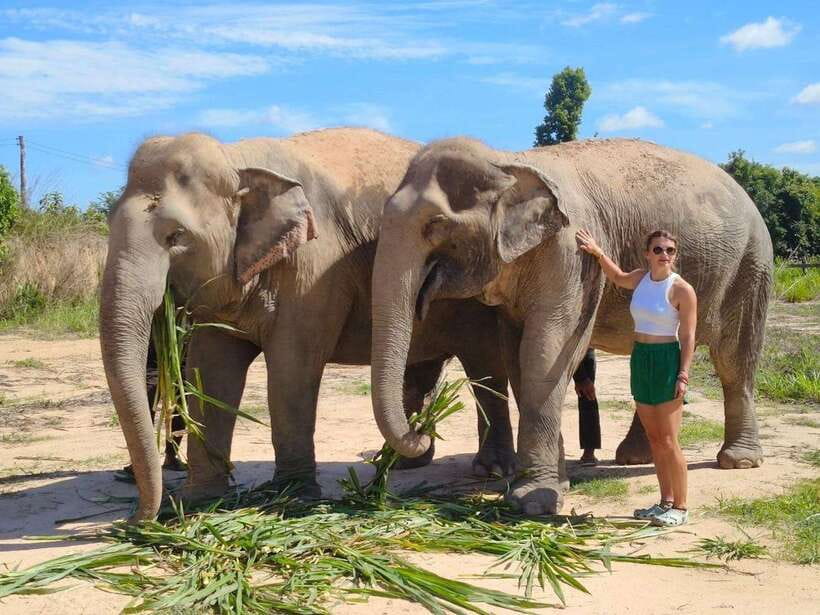 Elephant Sanctuary Cambodia, Pickup and drop off included - Mud Bath Time: The Body Care Lesson Hiding in Plain Sight