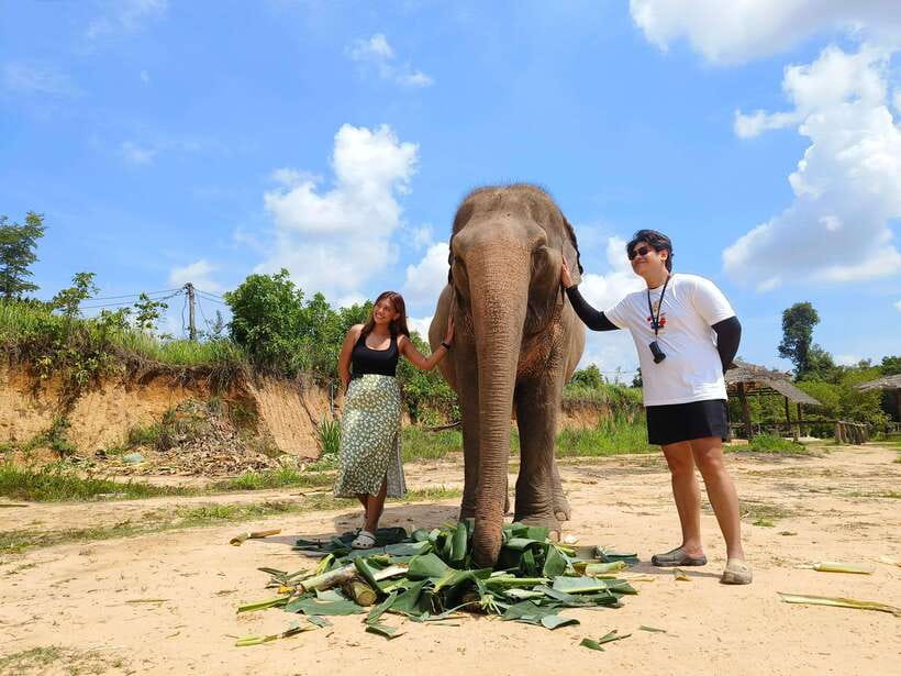 Elephant Sanctuary Cambodia, Pickup and drop off included - River Bathing and Photos: Turning Mud into a Cooling Ritual