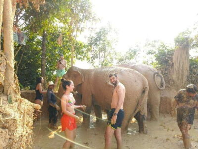 From Siem Reap: Elephant Sanctuary Experience with Transfers - Getting There: The 1-Hour Transfer That Keeps Your Day Calm