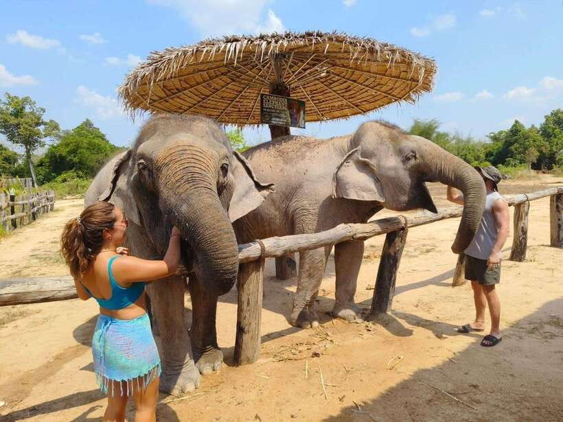 From Siem Reap: Elephant Sanctuary Experience with Transfers - Forest Trek Moments: Plant Life, Tracks, and Quiet Space