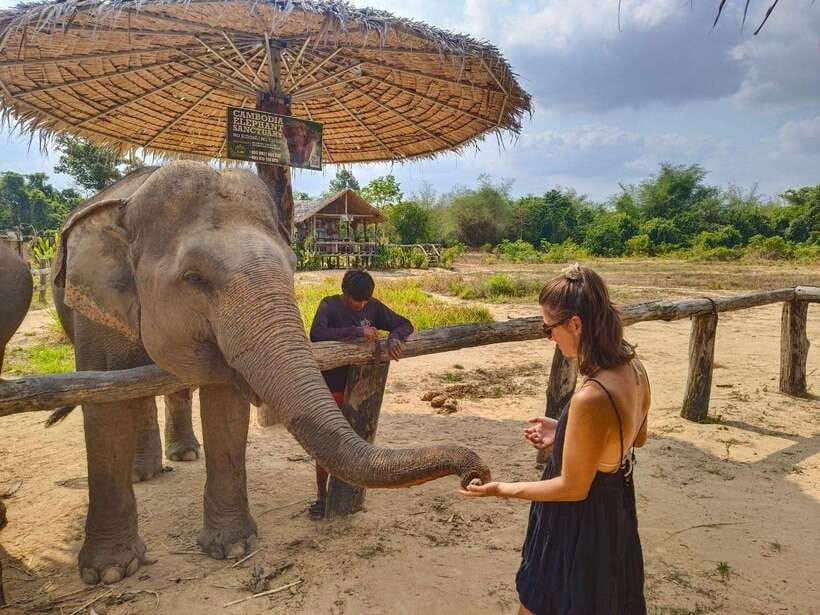 From Siem Reap: Elephant Sanctuary Experience with Transfers - Mud Bath Time: Fun, Mess, and Safety First