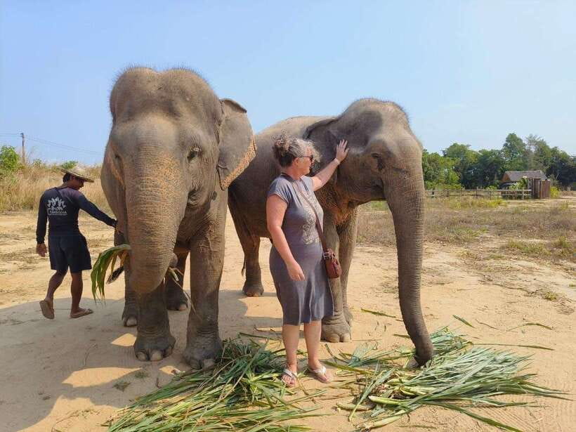 From Siem Reap: Elephant Sanctuary Experience with Transfers - The Wind-Down: Fruit, Water, and a Real Break