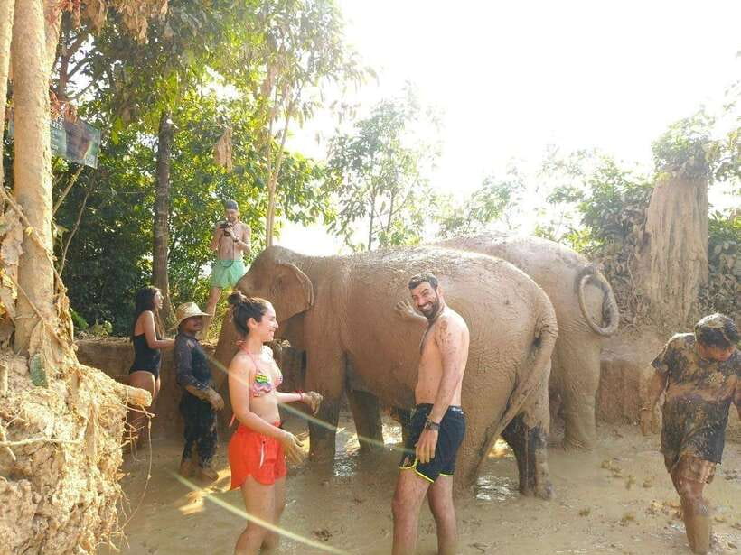 From Siem Reap: Elephant Sanctuary Experience with Transfers - Getting There: The 1-Hour Transfer That Keeps Your Day Calm
