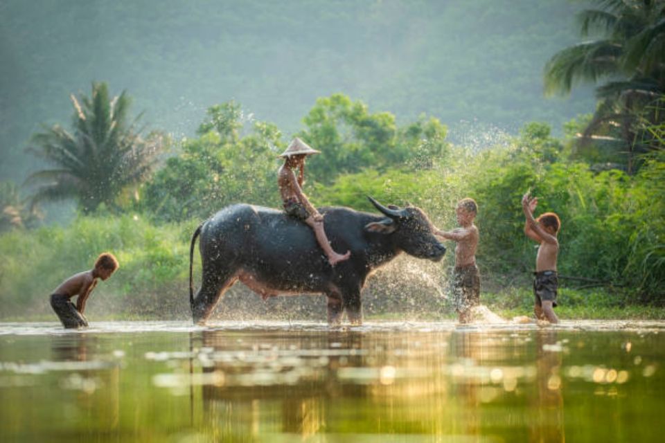 From Siem Reap: Tonle Sap Floating Villages Tour - Crocodiles and fish farms: what’s real, and what depends on water