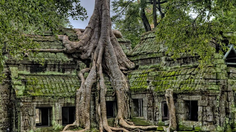 Full-Day Angkor Wat Sunrise and Sunset Private Tour - Lunch break around 12:30: plan for your own food budget