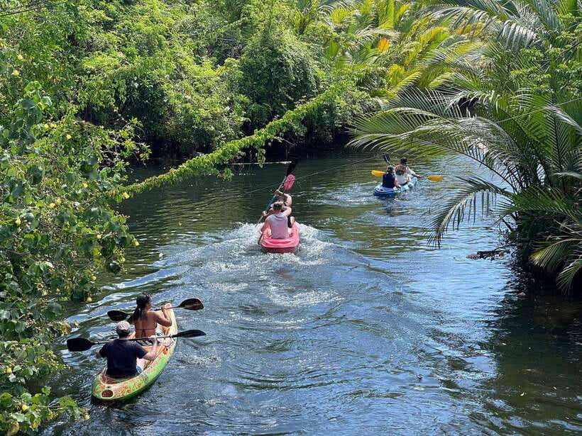 Green Cathedral Kayaking Journey & Reflection River View - Key things to know before you go