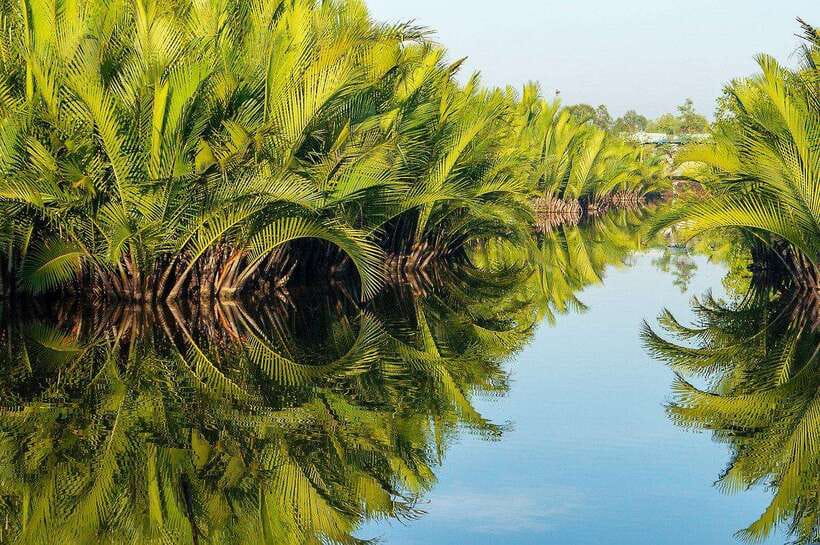 Green Cathedral Kayaking Journey & Reflection River View - Your English guide and small-group feel (max 8)