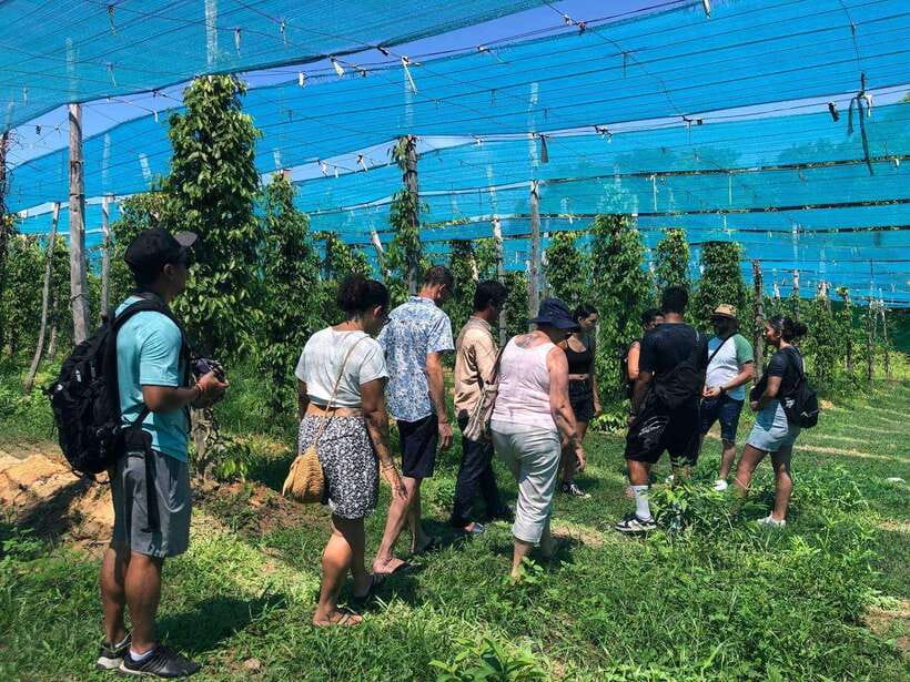 Kampot Pepper Farm, Salt Fields, Crab Market from Phnom Penh - Kampot town time: colonial streets and river views without stress
