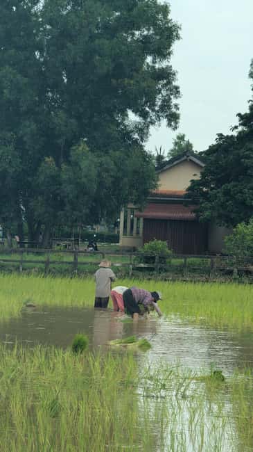 Kampot Pepper & Kep/Crab Market Tours: Salt, Secret lake - Lunch, BBQ, and local snacks: plan for costs since meals aren’t included