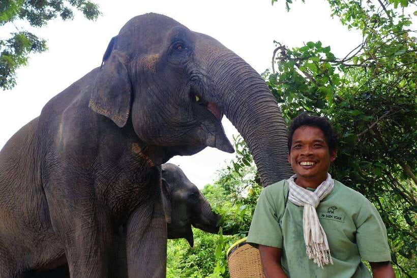 Kulen Elephant Forest Siem Reap in Small Group - Why Kulen Elephant Forest feels different from typical elephant encounters